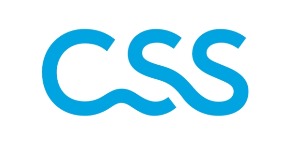 CSS logo